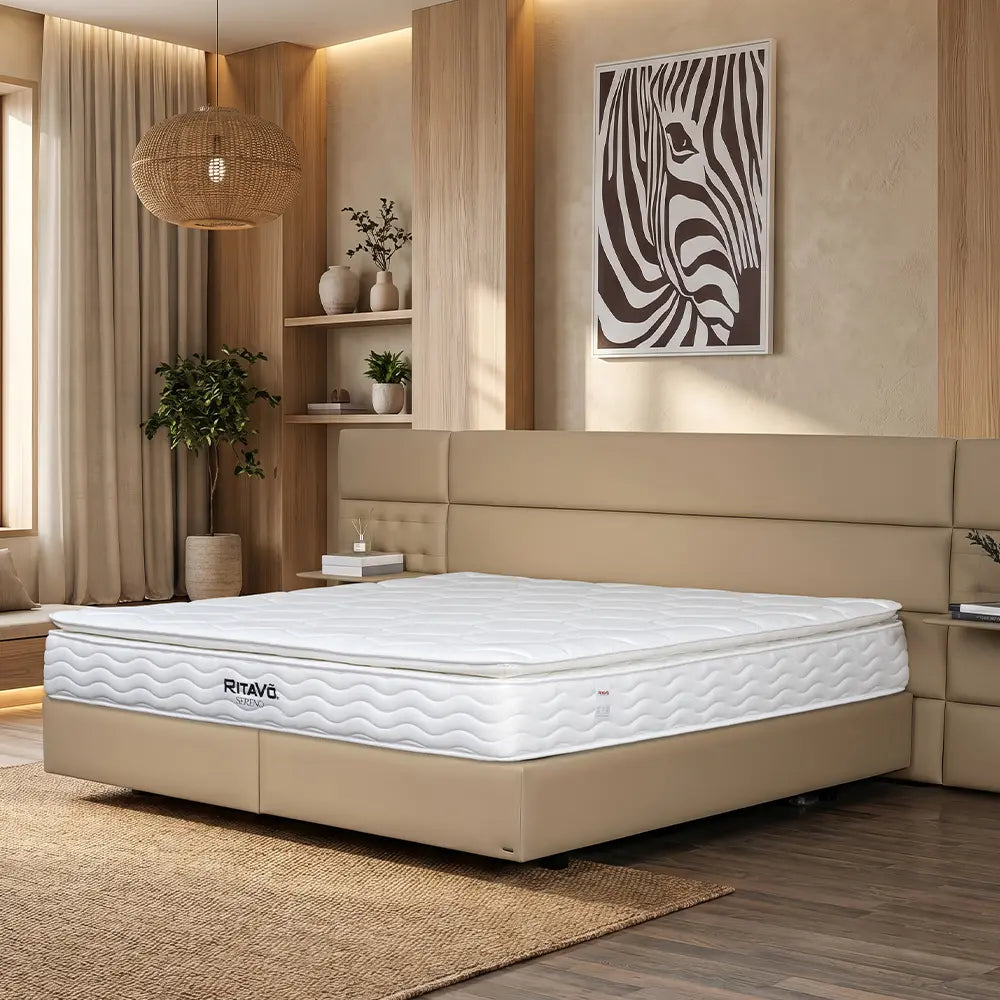 Nệm lò xo Sereno - Pillow Top